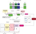 Novel Universal Windowing Multicarrier Waveform for 5G Systems - Tech Science Press