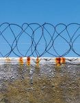 The Mercy Lottery: A Review of the Obama Administration's Clemency Initiative - A Report of the Center on the Administration of Criminal Law at ...