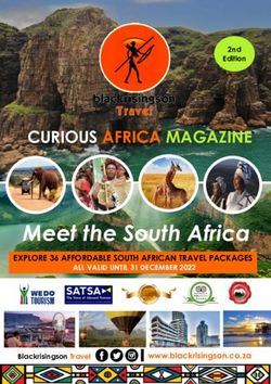 Meet the South Africa - CURIOUS AFRICA MAGAZINE - EXPLORE 36 AFFORDABLE SOUTH AFRICAN TRAVEL PACKAGES - Blackrisingson Travel