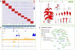 PLncDB V2.0: a comprehensive encyclopedia of plant long noncoding RNAs