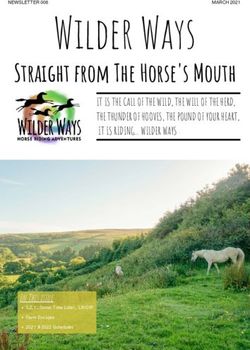 Wilder Ways Straight from The Horse's Mouth