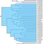 Workflow model for big data analysis and visualization