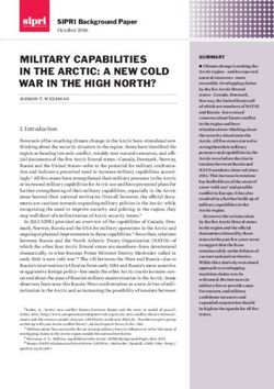 MILITARY CAPABILITIES IN THE ARCTIC: A NEW COLD WAR IN THE HIGH NORTH?