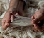 Discover warren region - WARREN - NEVERTIRE - COLLIE - Warren Shire Council