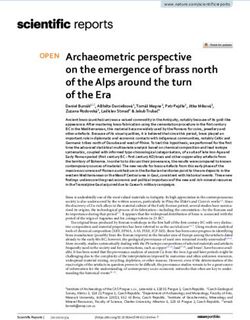 Archaeometric perspective on the emergence of brass north of the Alps around the turn of the Era