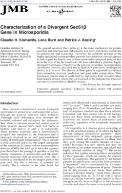 Characterization of a Divergent Sec61β Gene in Microsporidia