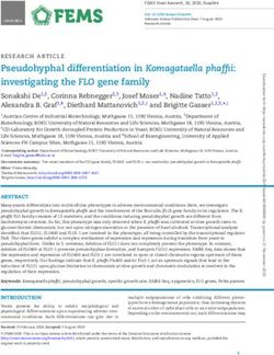 Pseudohyphal differentiation in Komagataella phaffii: investigating the FLO gene family