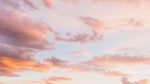 Aromatherapy Patient Course - Developed and reviewed August 2020 - Pain Assessment and ...