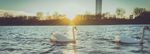 NORDIWA wastewater conference online - 28 September - 1 October 2021