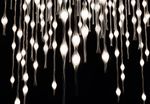 THEORY OF LIGHT THE - Amazon S3