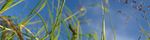 THE CODE FOR SUSTAINABLE HOMES - Case studies - Gov.uk