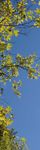 THE CODE FOR SUSTAINABLE HOMES - Case studies - Gov.uk