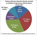 Weekly Influenza Surveillance Report - New York State ...