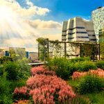 Resilience Building Coalition 5-year progress report - Preparing to Thrive: 2020 - AIA ...