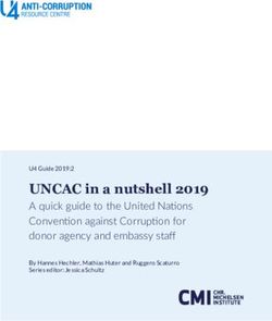 UNCAC in a nutshell 2019 - A quick guide to the United Nations Convention against Corruption for donor agency and embassy staff - U4 ...