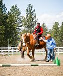Healing Reins Participant Handbook 2018