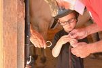 Healing Reins Participant Handbook 2018