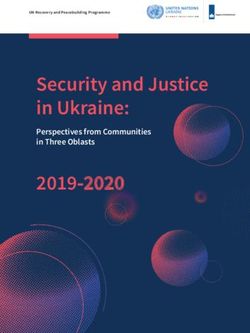 Security and Justice in Ukraine: 2019-2020 - Perspectives from Communities in Three Oblasts - UNDP