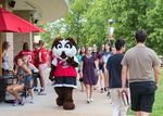 LIVE LIKE A SAINT RESIDENTIAL LIFE LIVING GUIDE - Maryville University