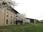 LIVE LIKE A SAINT RESIDENTIAL LIFE LIVING GUIDE - Maryville University