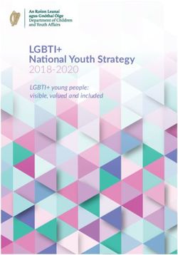 LGBTI+ National Youth Strategy - 2018-2020 LGBTI+ young people: visible, valued and included - The HRB ...