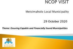 29 October 2020 Theme: Ensuring Capable and Financially Sound Municipalities - Parliament ...
