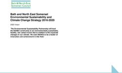 Bath and North East Somerset Environmental Sustainability and Climate Change Strategy 2016-2020