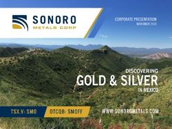 CORPORATE PRESENTATION - NOVEMBER 2019 - Sonoro Metals Corp.