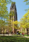 Y&leEmbrace the spirit of And - Yale College Undergraduate ...