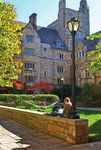 Y&leEmbrace the spirit of And - Yale College Undergraduate ...