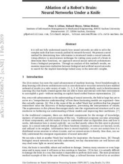 Ablation of a Robot's Brain: Neural Networks Under a Knife - arXiv