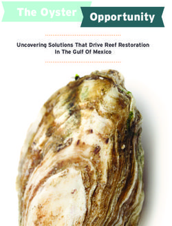 The Oyster Opportunity - Uncovering Solutions That Drive Reef Restoration In The Gulf Of Mexico