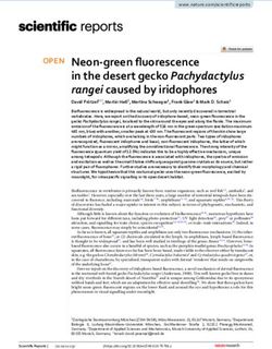 Neon green fluorescence in the desert gecko Pachydactylus rangei caused by iridophores - Nature