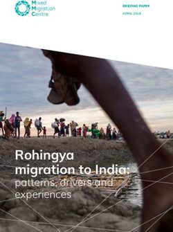 Rohingya migration to India: patterns, drivers and experiences - APRIL 2019 - Mixed Migration Centre