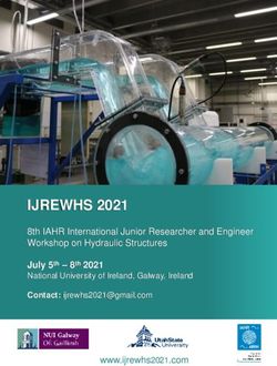 IJREWHS 2021 8th IAHR International Junior Researcher and Engineer Workshop on Hydraulic Structures - 8th IJREWHS 2021