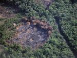 KS2 Rainforest photos PowerPoint - Keston Primary School