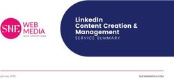 LinkedIn Content Creation & Management - SERVICE SUMMARY - SHEWEBMEDIA.COM - She Web ...