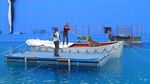 Ocean Survivor Lends a Hand in the Making of Life of Pi