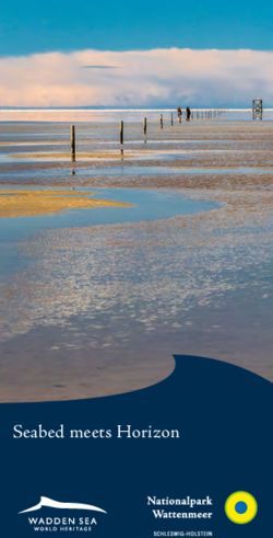 Seabed meets Horizon - Nationalpark Wattenmeer
