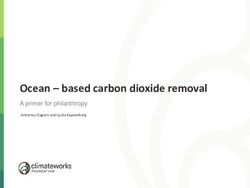 Ocean - based carbon dioxide removal - A primer for philanthropy Antonius Gagern and Lydia Kapsenberg - ClimateWorks ...
