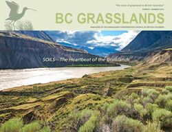 BC GRASSLANDS SOILS-The Heartbeat of the Grasslands - Grasslands Conservation Council of BC