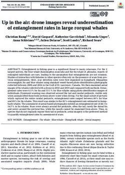 Up in the air: drone images reveal underestimation of entanglement rates in large rorqual whales