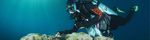 REEF SONG RESEARCH SCIENTIST - REEF FISH ECOLOGIST - HOW TO APPLY - 21479 Reef Song Research Scientist - Reef Fish Ecologist Page 1 of 12 - The ...