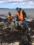 LITTERature - Nova Scotia Adopt-A-Highway