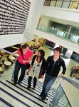 Undergraduate School of Psychology - www.cardiff.ac.uk/psych - Cardiff University