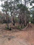 MINUTES Ordinary Council - FOR THE MEETING HELD WEDNESDAY, 25 SEPTEMBER 2019 IN COUNCIL CHAMBERS, Shire of Augusta-Margaret River