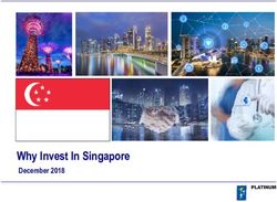 Why Invest In Singapore - December 2018 - platinum-asia