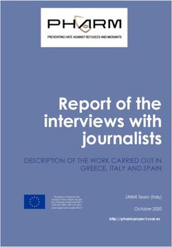Report of the interviews with journalists - Preventing hate ...