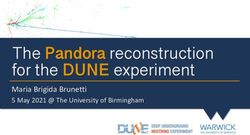 The Pandora reconstruction for the DUNE experiment - Maria Brigida Brunetti 5 May 2021 @ The University of Birmingham