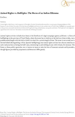 Animal Rights vs. Bullfights: The Horns of an Indian Dilemma